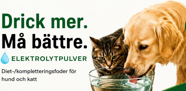 Vätskeersättning åt Hund 100 g