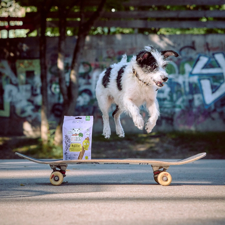 Mobilities Minis – Fettsnålt Hundgodis för Leder 115 g