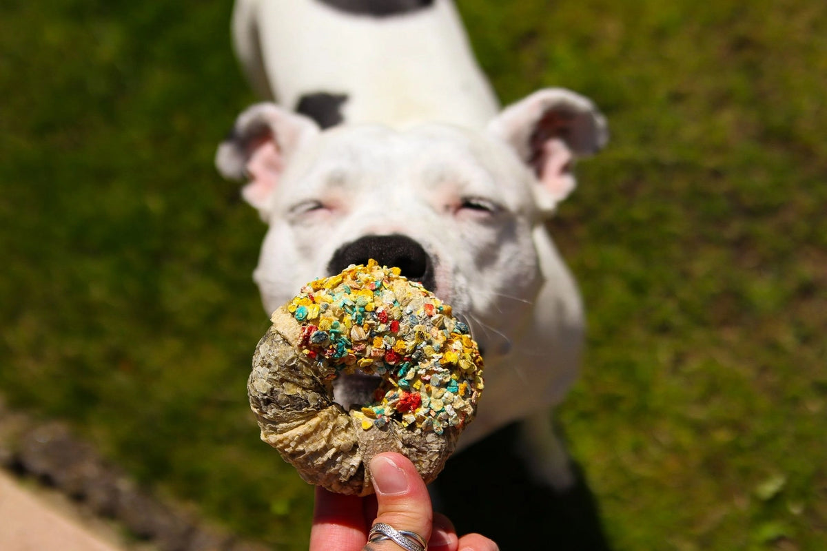 Candy Crush Paket - Lufttorkade hundgodisar med dogfetti 200 g