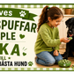 Fika med mördegspuffar äppelsmak 70 g