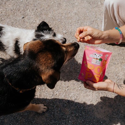 POPS – Krispigt, Lätt Hundgodis av Potatis 20 g