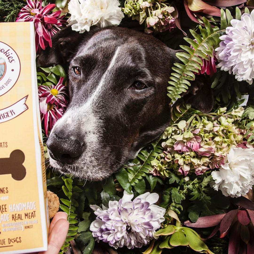 Gourmet Burger – Hundsnacks med Fläskkött 100 g